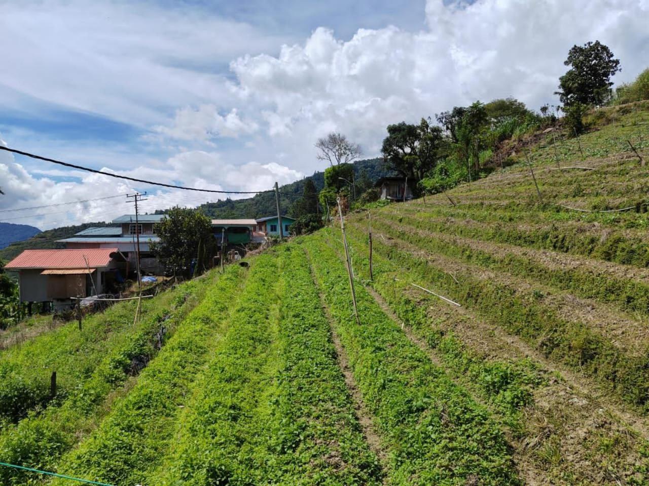 Kundasang Mount Garden Exterior foto